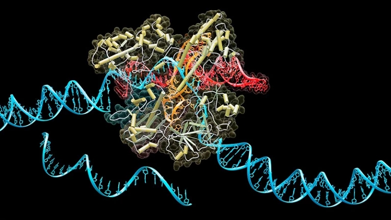 Crispr